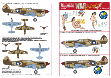War Birds P-40 Tomahawks Kits-World KW148067 skala 1/48