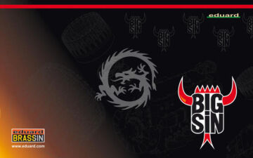 Eduard Accessories  P-40E ESSENTIAL - EDUARD SIN648141  skala 1/48