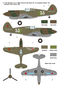 Zestaw kalkomanii P-40 Warhawk Part.2 - Land-Lease Warhawk/Tomahawk in VVS, Wolfpack WD48016 skala 1/48