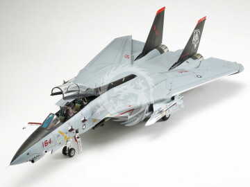 Grumman F-14D Tomcat Tamiya  61118 1/48