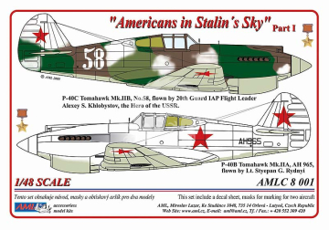 Americans in Stalin's Sky Part I AML  AMLC8001 skala 1/48