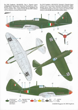 Model plastikowy Reggiane Reggiane Re.2005 Sagittario Special Hobby SH48206 skala 1/48