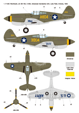 Zestaw kalkomanii USAAF Warhawk Service in WW2, Wolfpack WD48017 skala 1/48