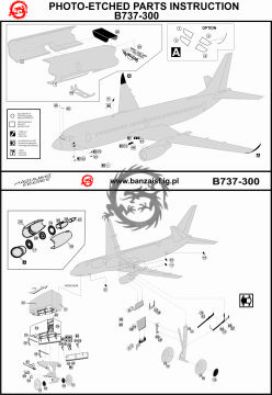 Boeing 737-300 LongBeach - profipack Banzai 022022 