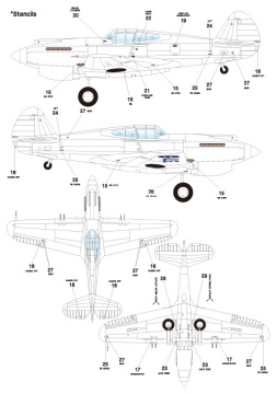 Zestaw kalkomanii USAAF Warhawk Service in WW2, Wolfpack WD48017 skala 1/48