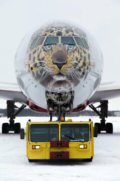 Boeing 777-300 Rossiya Leopard Leo! - EI-UNP  - kalkomania Pas-decals skala 1/144 - EI-UNP - 