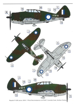 Model plastikowy Republic P-43 B/C Lancer (recon) Dora Wings DW48034 skala 1/48