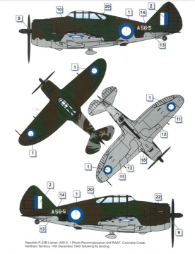 Model plastikowy Republic P-43 B/C Lancer (recon) Dora Wings DW48034 skala 1/48