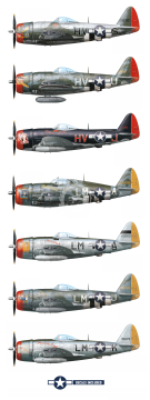 Książka - THE 56TH FIGHTER GROUP IN WORLD WAR II: 18TH APRIL 1944 TO V-E DAY AND BEYOND AK Interactive AK130005