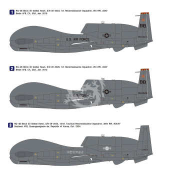 RQ-4B Global Hawk (Premium Edition Kit) - Wolfpack WP17219 skala 1/72 