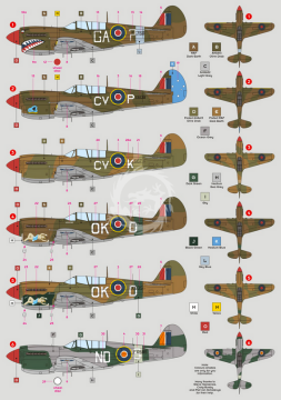  Kittyhawk Mk.IV over Italy DKdecals 48042 skala 1/48