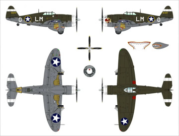 PREORDER - Republic P-47C Thunderbolt with Ferry Tank Dora Wings DW48054 skala 1/48