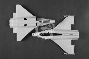 PAF J-10CE Multi-Role Fighter & IAF Rafale 2 in 1 - Trumpeter 01690 skala 1/72