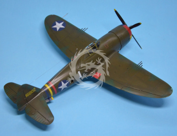 PREORDER- Republic P-47 Thunderbolt Dora Wings DW48051 skala 1/48