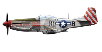 North American P-51D Mustang Fighter Meng Model LS-006 1/48