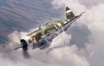 PREORDER - Republic P-47C Thunderbolt with Ferry Tank Dora Wings DW48054 skala 1/48