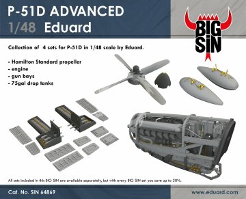 Zestaw dodatków P-51D ADVANCED Eduard Bigsin 64869 skala 1/48