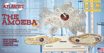 Figurka Edukacyjna Amoeba Single Cell Model Kit STEM - Atlantis L3800 