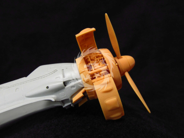Arado Ar 196. Cowling and engine Italeri - Metallic Details MDR48254 skala 1/48