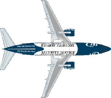 Kalkomania do Boeing 737 Western Pacific Airlines 