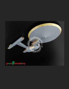 10220 U.S.S. Enterprise NCC-1701 - Discovery Green strawberry 1/2500 Star Trek