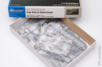 L-4 Grasshopper From Africa to Central Europe Special Hobby SH48218 skala 1/48