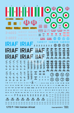 Zestaw dodatków F-14A Iranian Ali-Cat Update set (for Academy 1/72), Wolfpack WP72092 skala 1/72