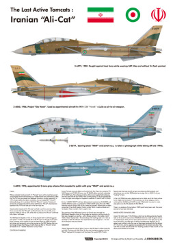 Zestaw dodatków F-14A Iranian Ali-Cat Update set (for Academy 1/72), Wolfpack WP72092 skala 1/72