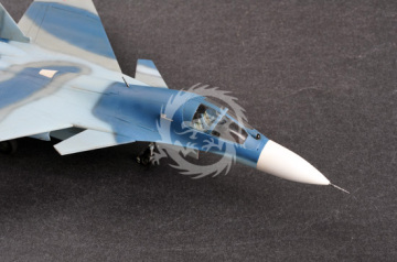 Russian Su-33UB Flanker D - Trumpeter  01669 skala 1/72