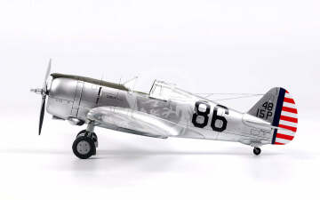 WP14811 P-36 Hawk Pearl Harbor Wolfpack WP14811 skala 1/48