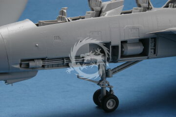 F-14D Super Tomcat Trumpeter 03203 skala 1/32