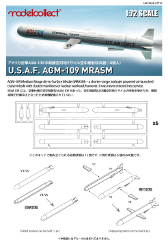 U.S.A.F. AGM-109 ACM missile Set 18 pics Modelcollect MCUA72228 skala 1/72