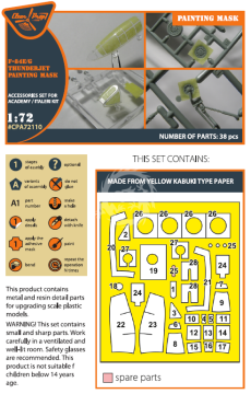PREORDER - F84E/G Thunderjet painting mask on 