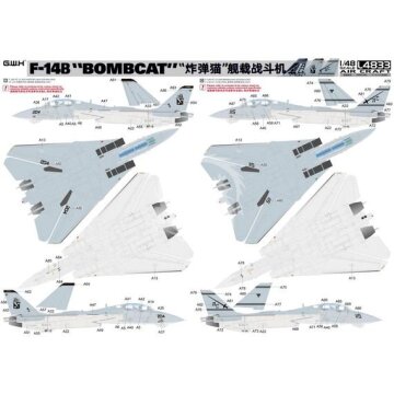 F-14B 