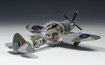 Thunderbolt Mk.II 'RAF' RAF Fighter Aircraft Wolfpack  WP14822 skala 1/48