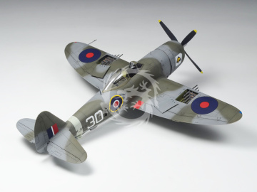 Thunderbolt Mk.II 'RAF' RAF Fighter Aircraft Wolfpack  WP14822 skala 1/48