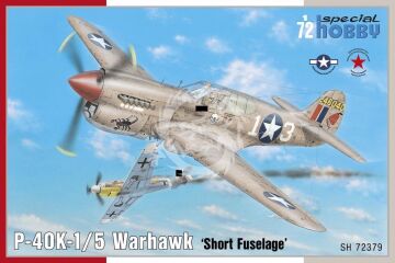  P-40K-1/5 Warhawk 