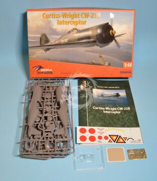 Curtiss-Wright CW-21B Interceptor Dora Wings DW48046 skala 1/48