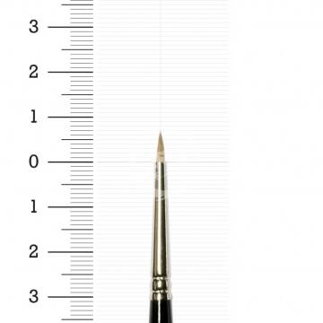 Pędzel rozmiar 2 - Winsor&Newton Koliński Seria 7 miniatura 5012002