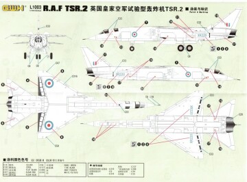 RAF TSR.2 Great Wall Hobby GWH L1003 skala 1/144