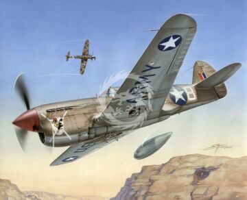 PROMOCJA - NA ZAMÓWIENIE - P-40 F Warhawk 