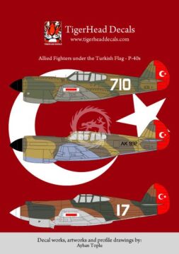  Allied Fighters under the Turkish Flag - Curtiss P-40 B/E Decals TigerHead Decals 48001