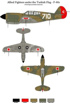  Allied Fighters under the Turkish Flag - Curtiss P-40 B/E Decals TigerHead Decals 48001