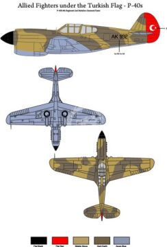  Allied Fighters under the Turkish Flag - Curtiss P-40 B/E Decals TigerHead Decals 48001