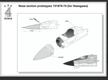  F-111B Nose section  prototypes  151970-74 (for Hasegawa) - Cat4 R72018 skala 1/72