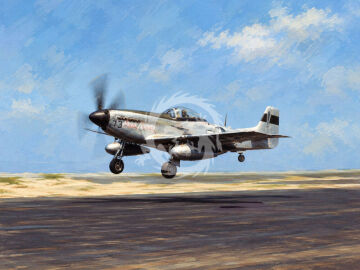 Przedsprzedaż -  F-6D/K Mustang - Arma Hobby 70072 skala 1:72
