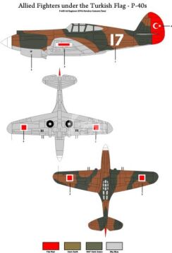  Allied Fighters under the Turkish Flag - Curtiss P-40 B/E Decals TigerHead Decals 48001