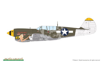 P-40N Warhawk - Eduard 84210 skala 1/48