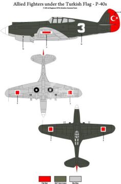  Allied Fighters under the Turkish Flag - Curtiss P-40 B/E Decals TigerHead Decals 48001