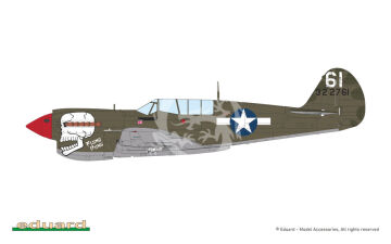 P-40N Warhawk - Eduard 84210 skala 1/48